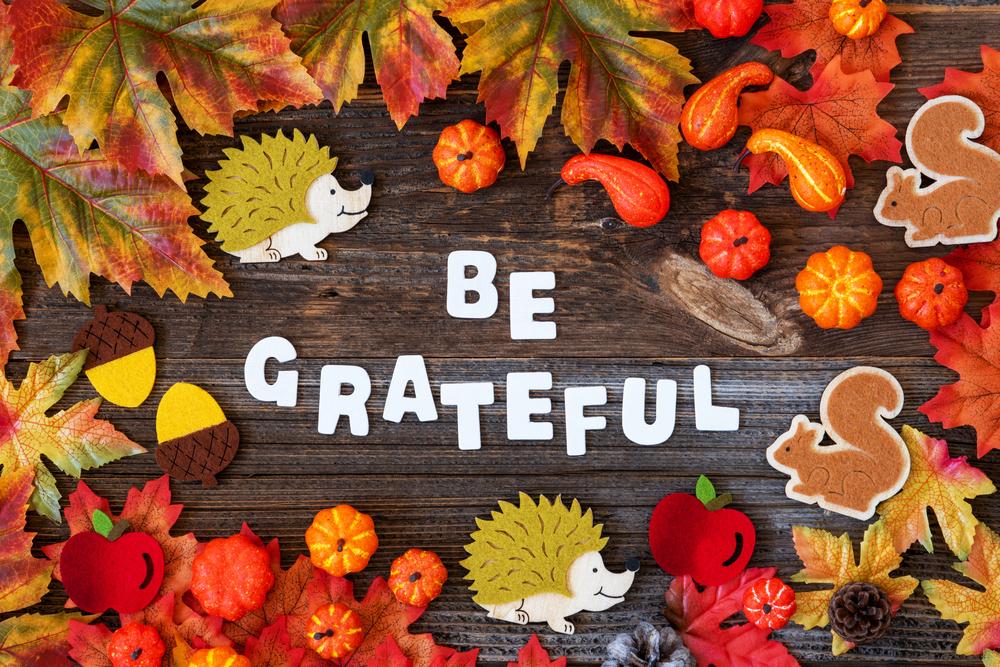 The Real Food Academy Miami - THANKSGIVING CAMP WEEKLY $520